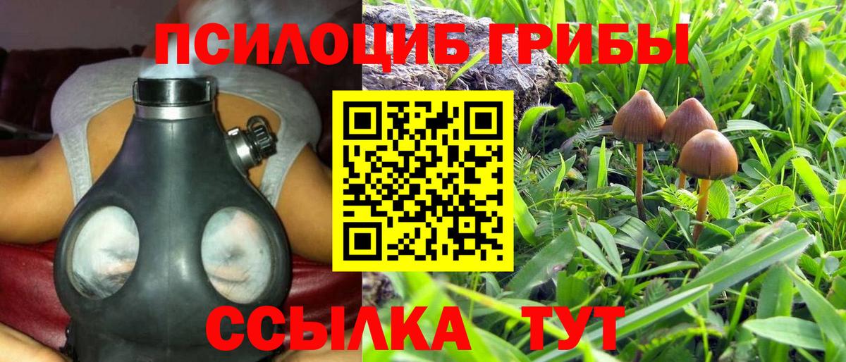 Псилоцибиновые грибы ЛСД  Вход с VPN  купить наркоту  Псилоцибиновые грибы Magic Shrooms  Пугачёв 